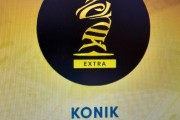 2025-Konik-Szachowy-wiosenna-edycja-1