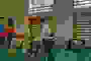 dav