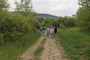 IMG_20250506_084438